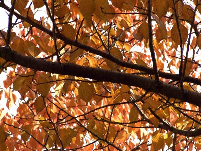 photo051211
